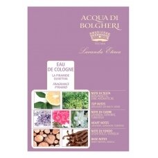 Dr. Taffi cologne EDC Acqua Di Bolgheri Lavender universal, 80 ml