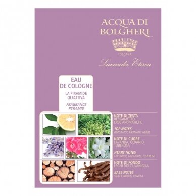 Dr. Taffi EDC Acqua Di Bolgheri Lavender Одеколон универсальный, 80 мл 1