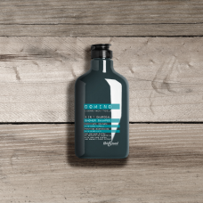 Helen Seward Domino shower, hair and beard shampoo for men, 250 ml